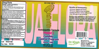 image description - Phase I